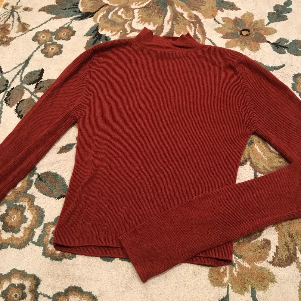 Cropped sweater. Turtle neck